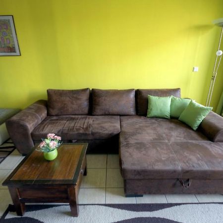 Ferienwohnung Neagu Mit 2 Apartements Winterberg Esterno foto